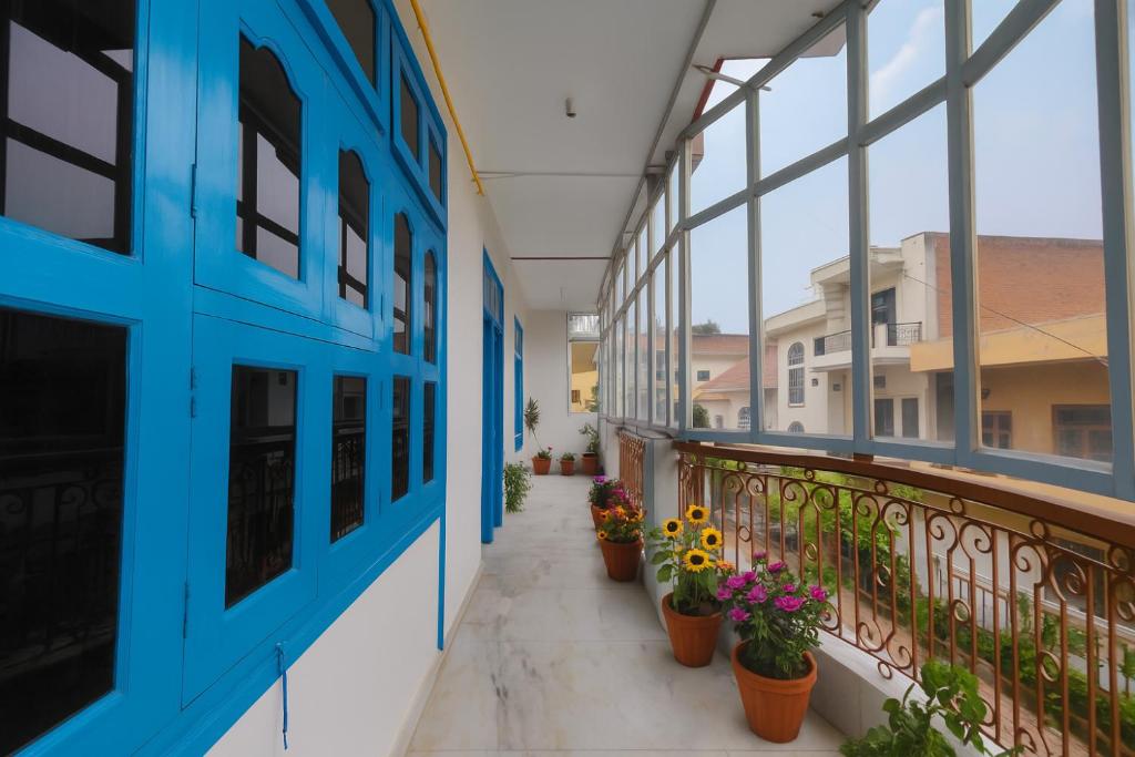 Santorini, Varanasi: glazed balcony corridor running past blue shuttered windows, terracotta pots of sunflowers and pink blooms along an iron railing, houses opposite